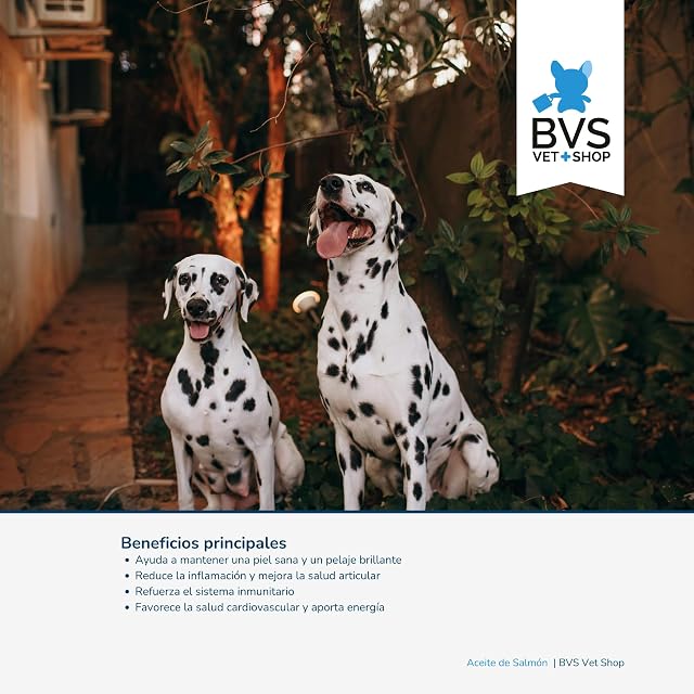 Foto 4 de 7 de BVS Vet Shop