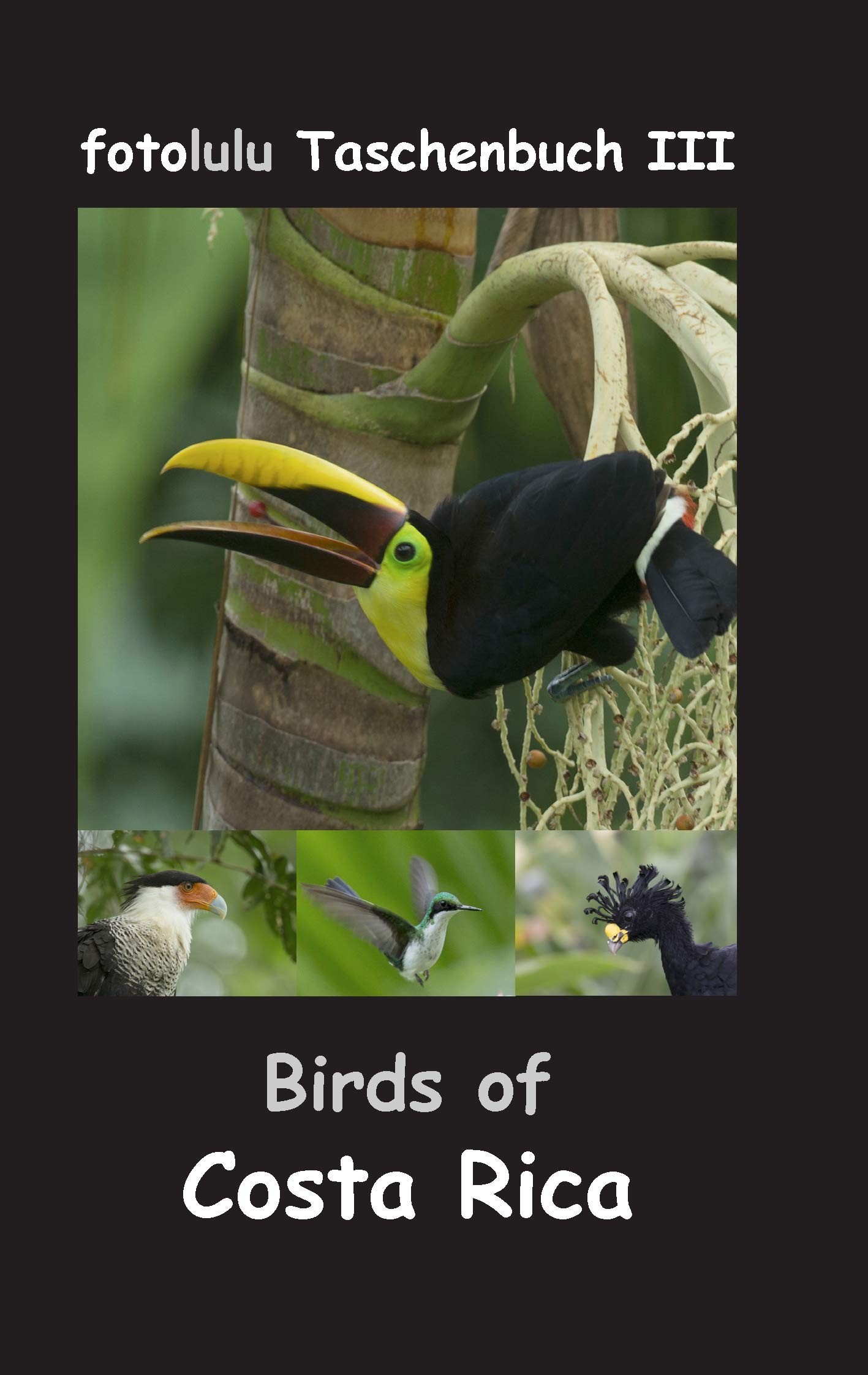 Birds of Costa Rica: fotolulu Taschenbuch III