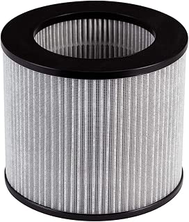 Bissell, 2801 Replacement High Efficiency and Carbon Filter MyAir Personal Air Purifier - coolthings.us