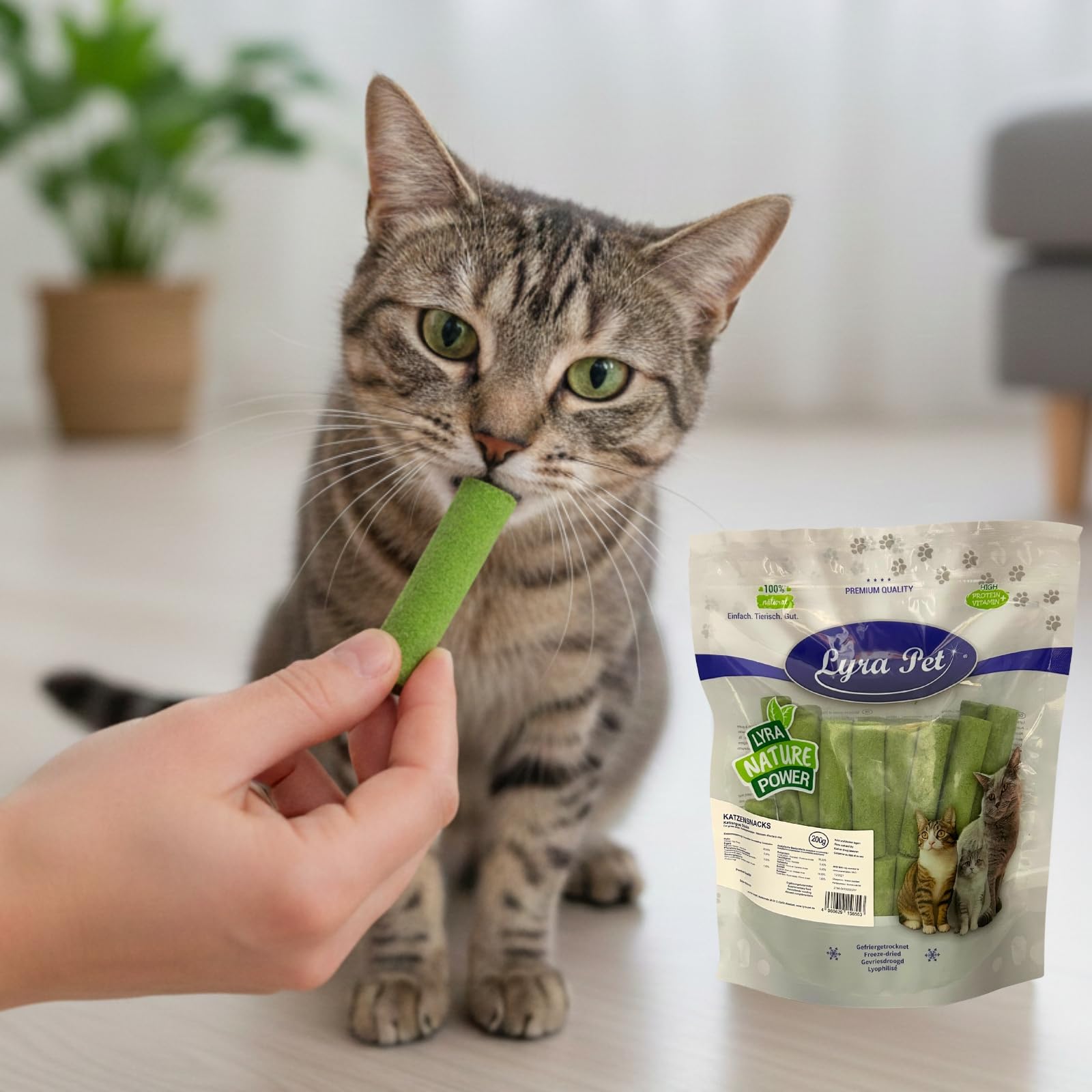 Lyra Pet® 1 kg (5 x 200 g) Katzensnack Mix gefriergetrocknet in 30 L Tonne | 5 Sorten mit Huhn, Ente & Katzengras - deal auch für Kitten & Senioren - Getreidefrei & proteinreich - Belohnung für Katzen