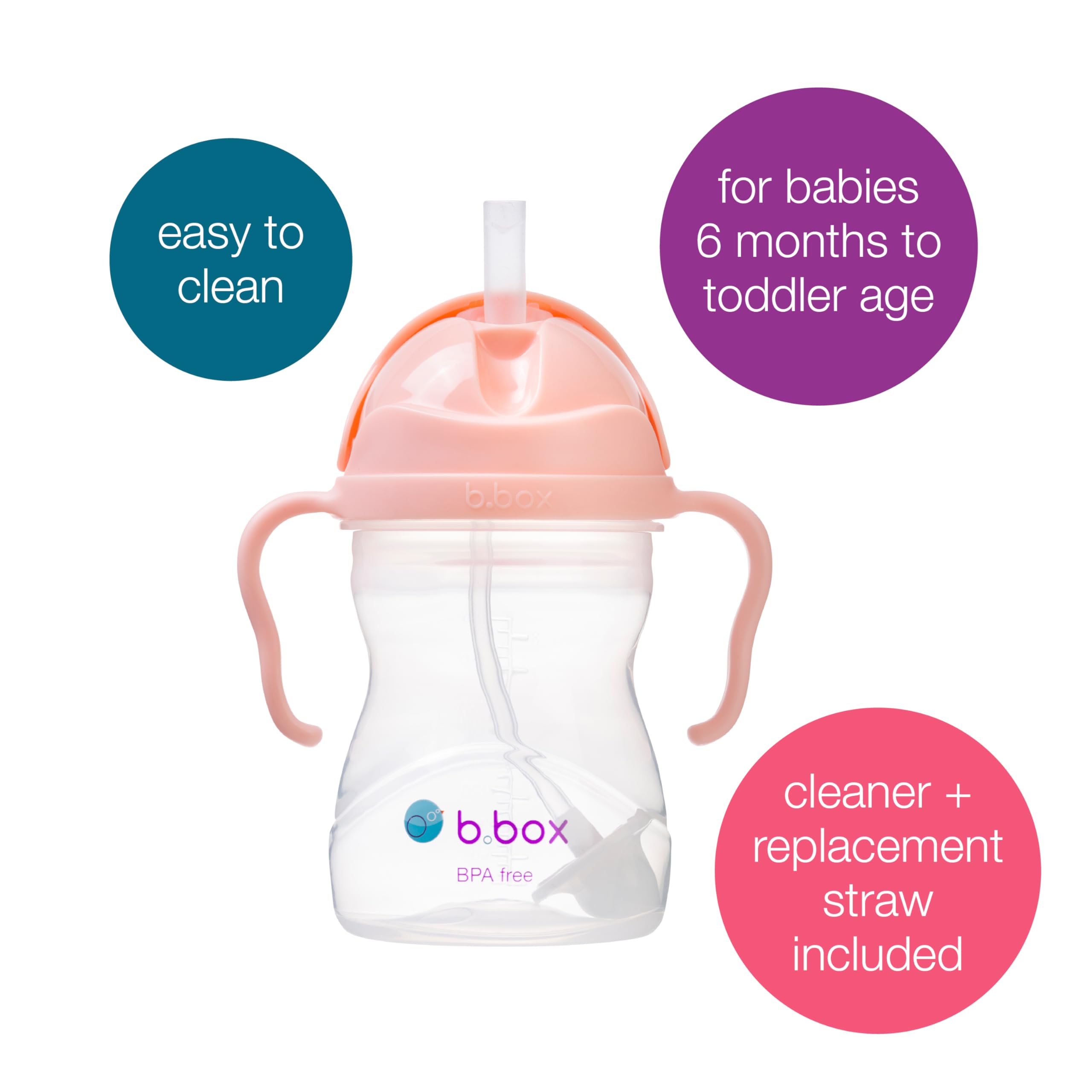 b.box Sippy Straw Cup Pack of 2 with Free Replacement Straw and Cleaner, Tutti Frutti + Boysenberry, 9.8 cm (W) x 15.6 cm (H) - Image 2