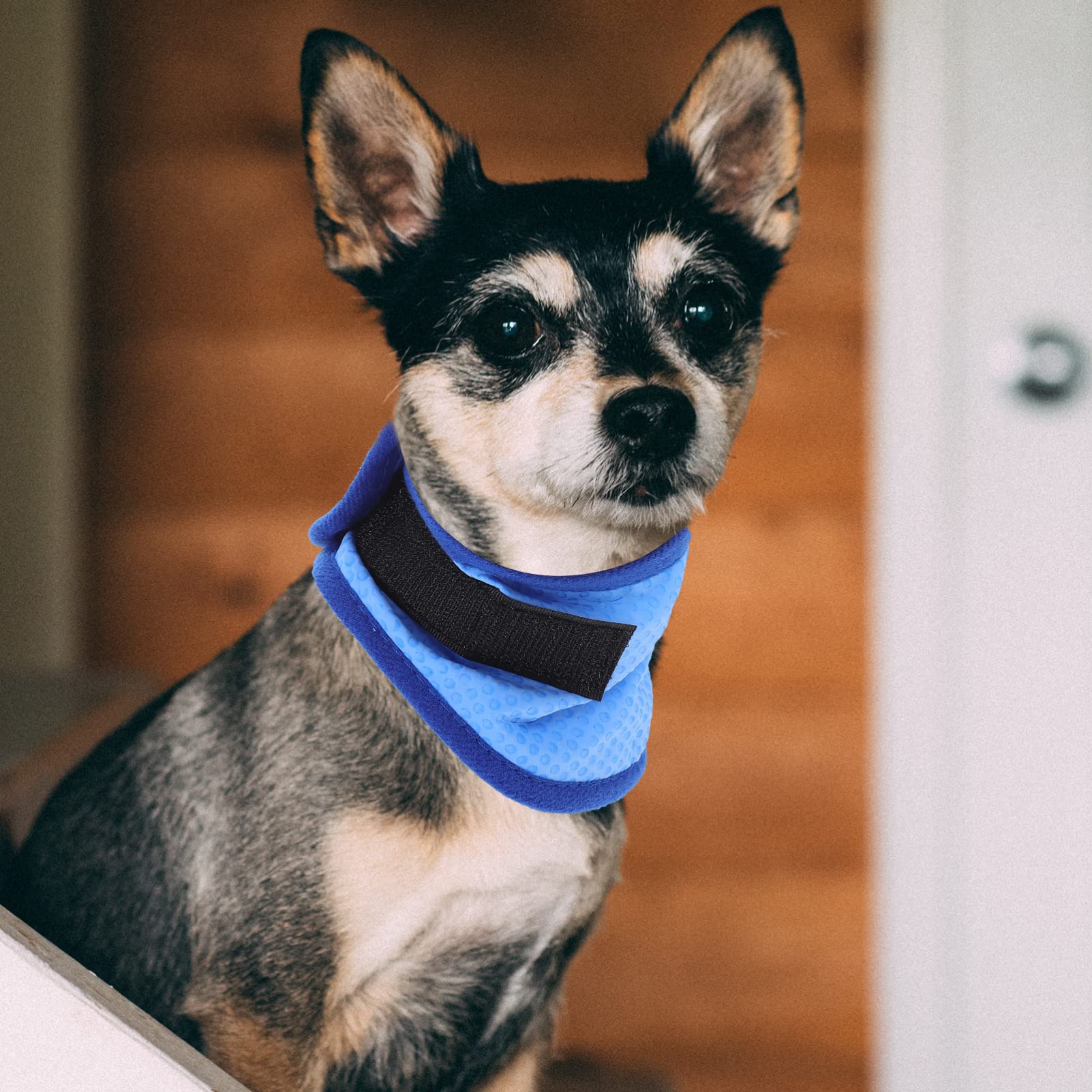 Beavorty 4stücke Pet Kühlbandana Für Hunde Atmungsaktives Kühlhalsband Leichtes Und Hautfreundliches Zubehör Für Und Im Sommer Mit Punkten