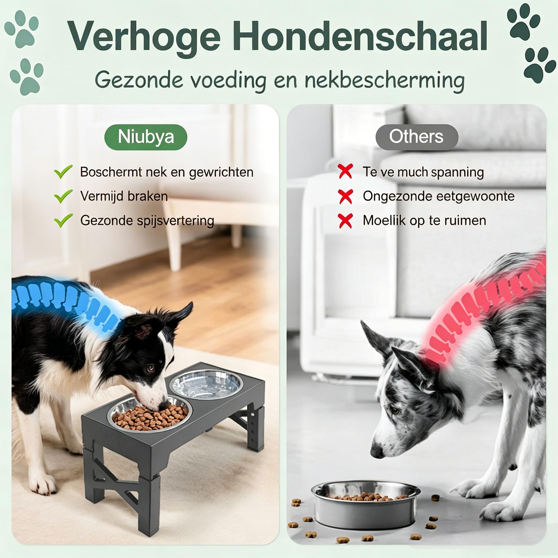 Gamelles surélevées pour Chiens, avec gamelle à Alimentation Lente réglable sur 5 hauteurs (8 cm, 22 cm, 25 cm, 28 cm, 31 cm) pour Chiens de Petite, Moyenne et Grande Taille
