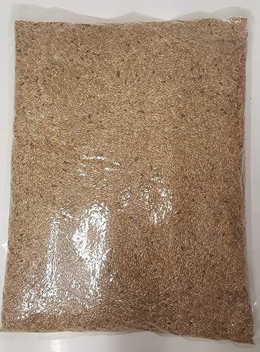 Miniatura 3 de Semillas de alpiste para canarios, 5 libras