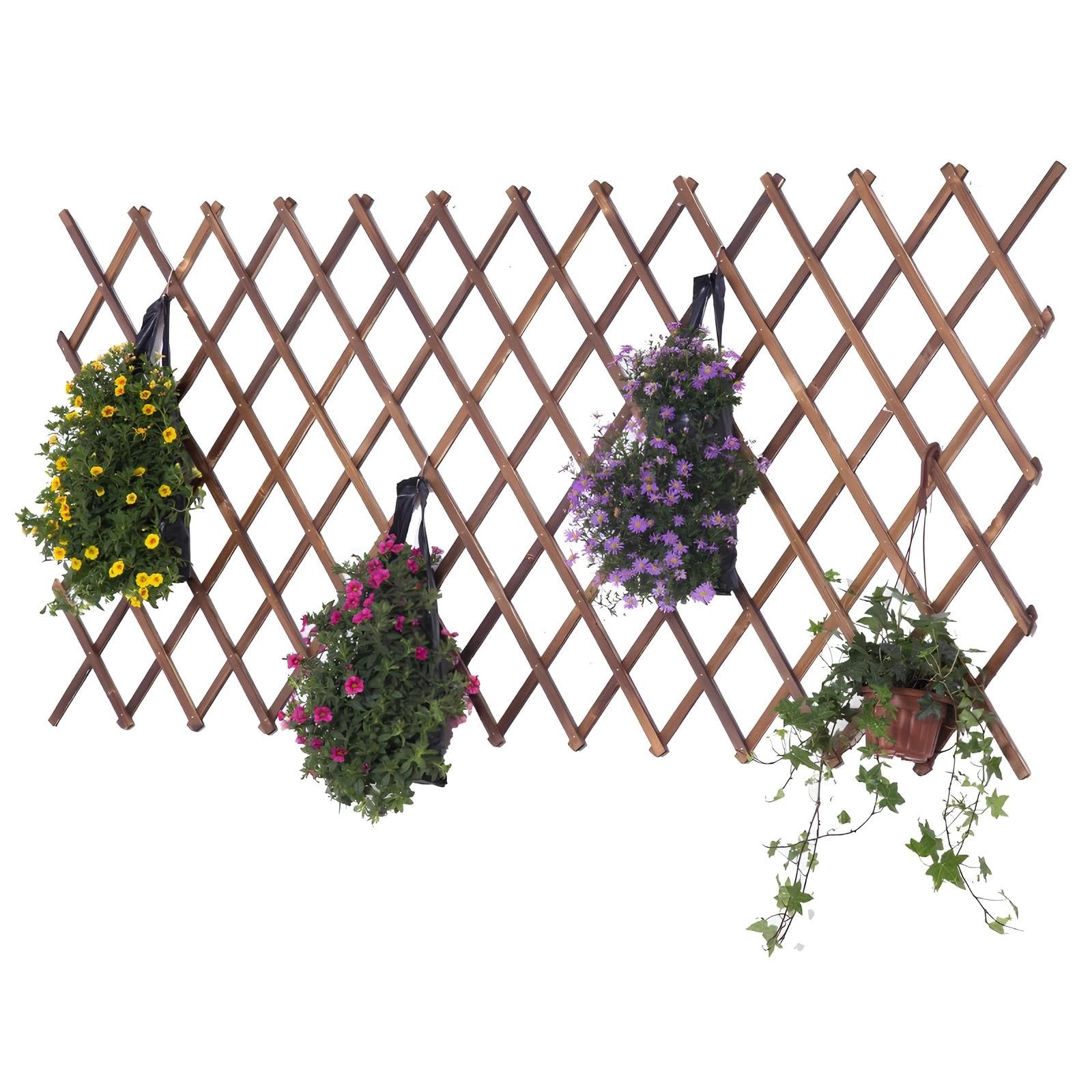 Enrejado De Jardín Expandible,Ayuda para Plantas Trepadoras Valla De Celosía De Madera, Paneles De Celosía para Exteriores para Vid Hiedra Pepinos Rosas(82 * 26cm)