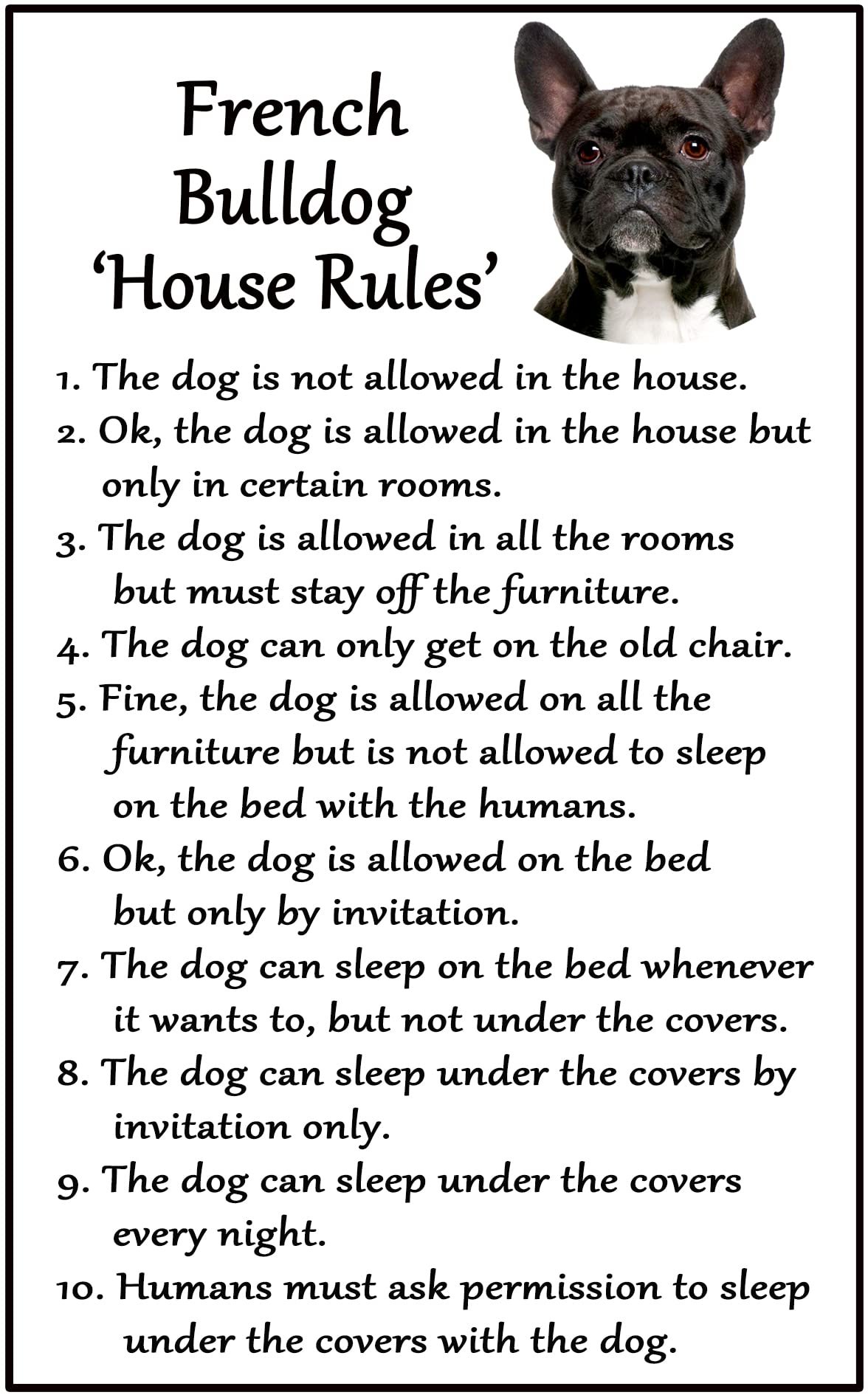 Fridge Magnets Black French Bulldog Frenchie Gift - House Rules - Large Fun Flexible Fridge Magnet- Size 16Cms X 10 Cms (Approx. 6" X4")