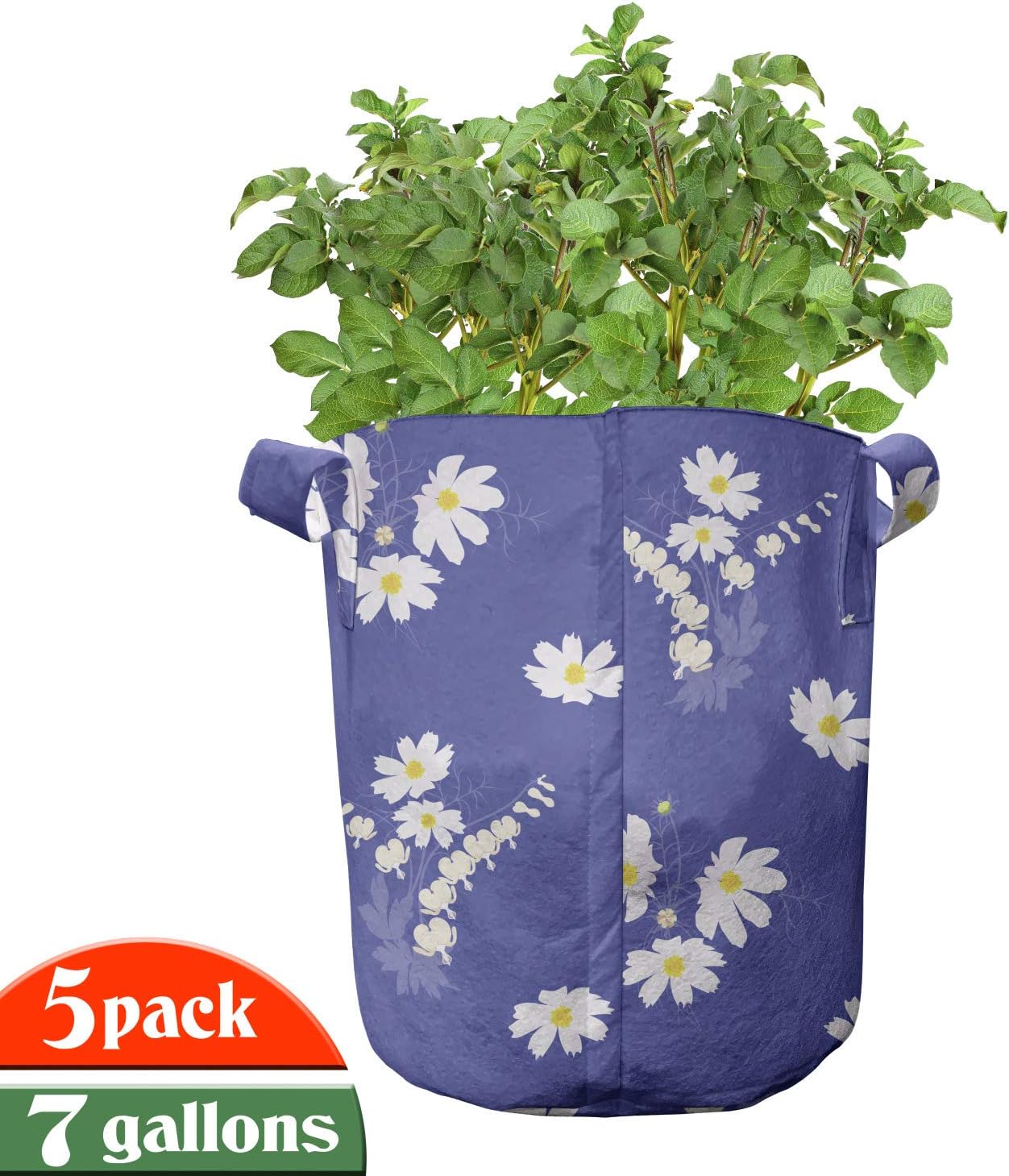 Ambesonne Floral Grow Bags 5-Pack, Simplistic Daisy Flowers, Heavyduty Fabric Pots with Handles for Plants, Mustard Ceil Blue