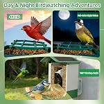 Bird Feeder with Camera, Squirrel Proof Bird Feeder Dual Solar Powered for Outdoors, AI Identify 11,000+ Birds, Real-Time Motion Detection,UHD Live Stream for Birdwatching-Gifts for Bird Lovers