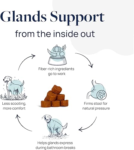 Miniatura 3 de Veterinary Formula Soporte de glándula anal para perros  Masticables sin Scoot formulados por veterinarios con calabaza, jengibre, inulina de agave