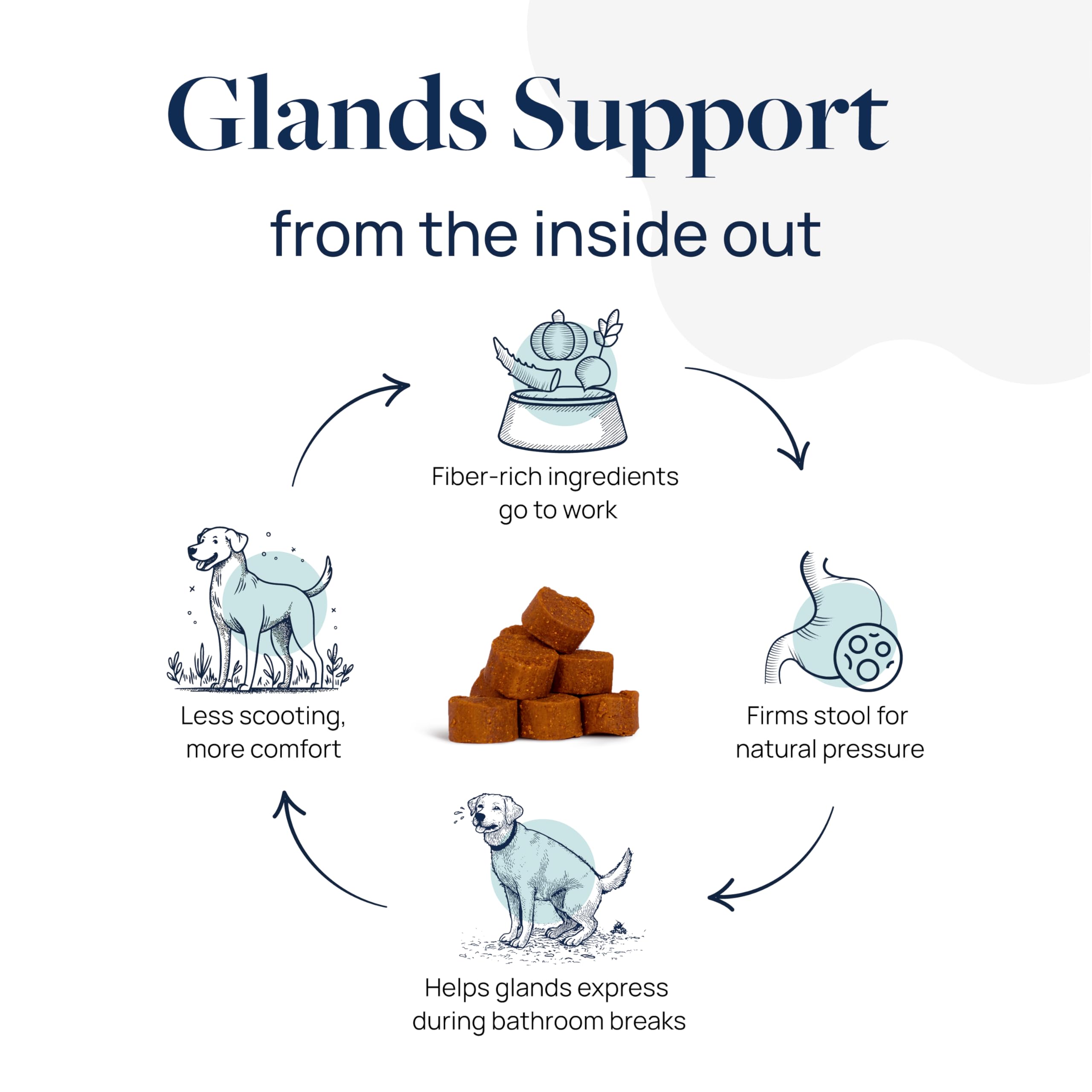 Veterinary Formula Anal Gland Support for Dogs – Vet-Formulated No Scoot Chews with Pumpkin, Ginger, Agave Inulin & Probiotics – Supports Scooting, Stool Quality & Digestive Health, 60 Soft Chews - image 3