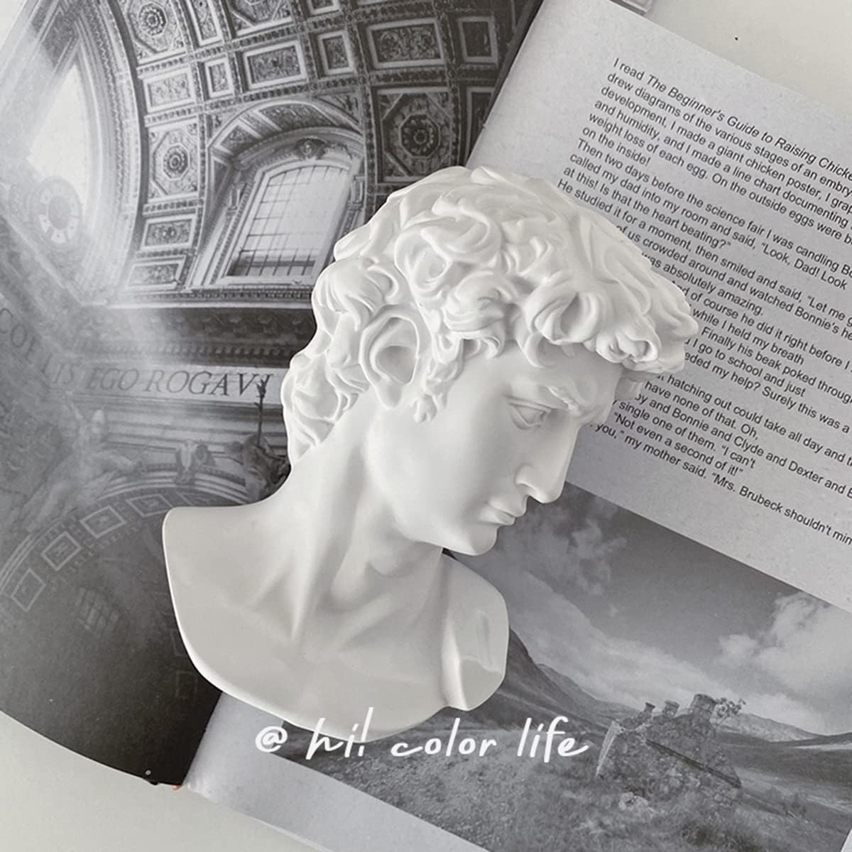 David Statue Greek Bust,Head Bust Statue for Roman Home Decor,Coffee Table Decor White,Greek Mythology Decorfor Bedroom/Living Room/Office 5.9"