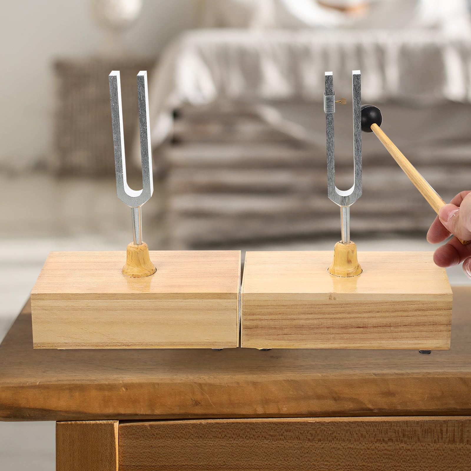 440hz Stimmgabel mit Holzsockel und Hammer für Experimente | Metallausführung, Klare Klangfarbe, Stabile Platzierung, 1 Satz für Unterricht und Akustiktests