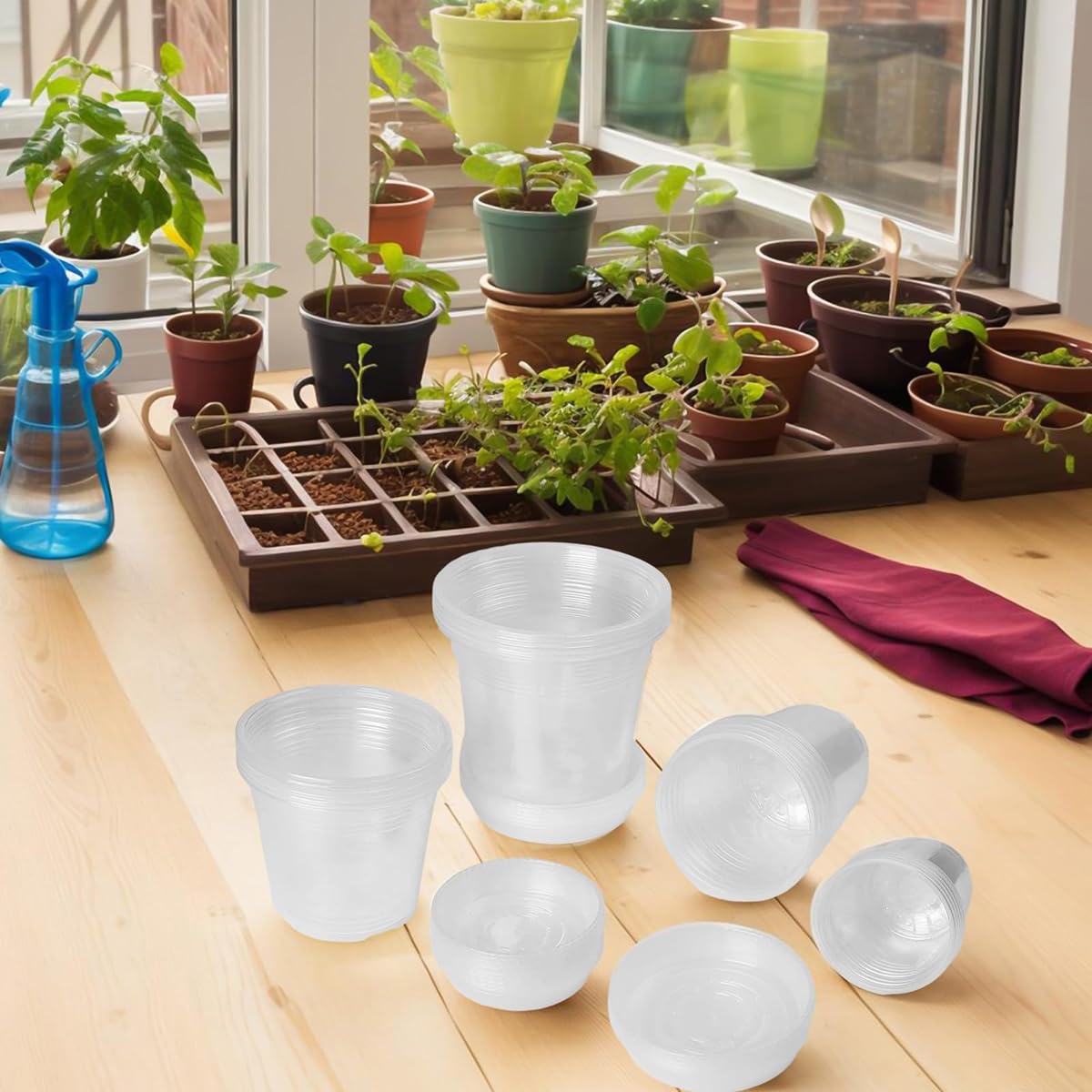 Amazon.co.jp: 透明プランター 4 号 5 号 6 号 7 号 植木鉢 5 個セット