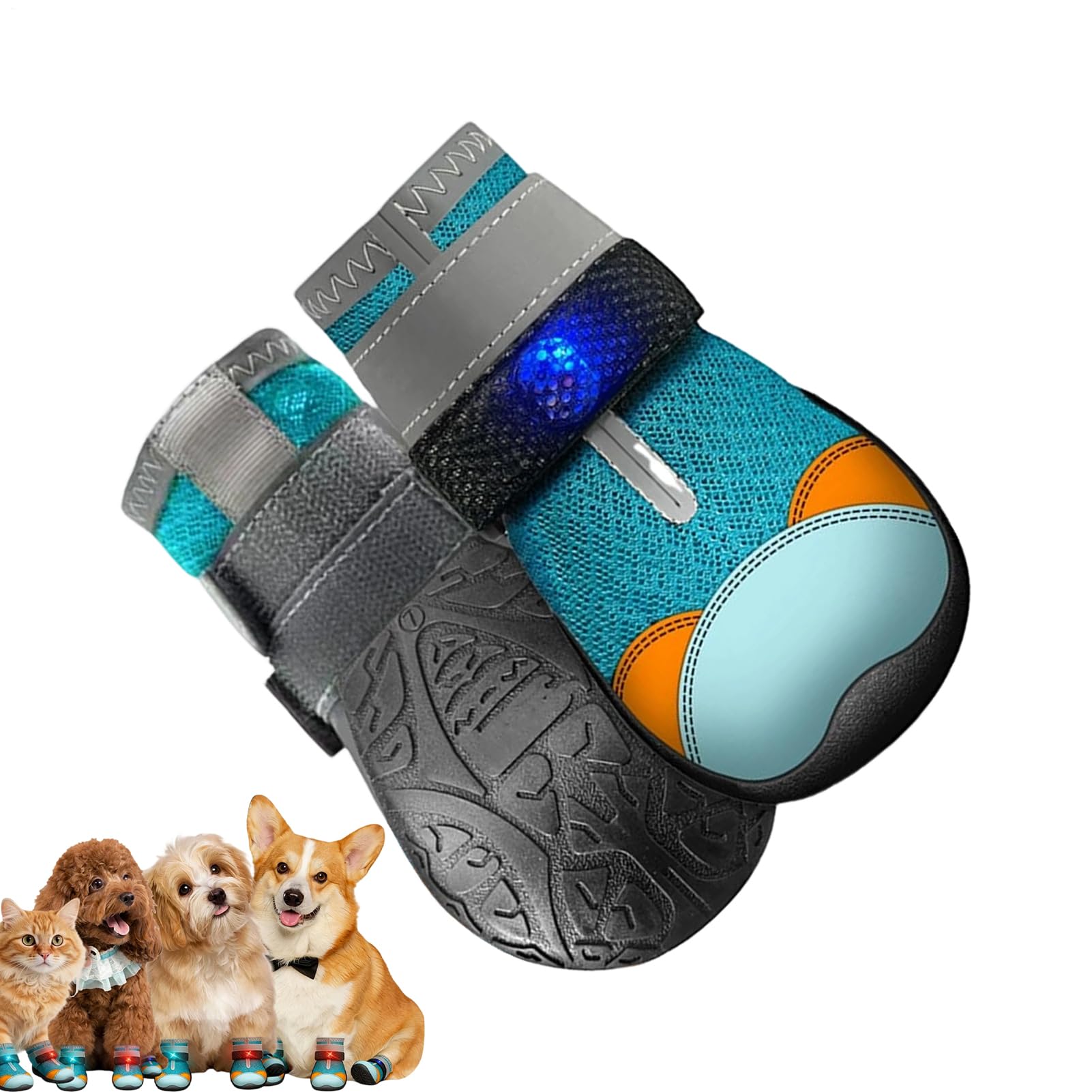 Chaussures lumineuses pour chien entraînement extérieur bottes nuit