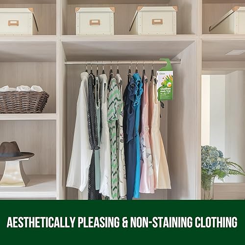 Miniatura 3 de Garsum Trampas para polillas para ropa, trampas para polillas para casa, armarios, alfombras, trampas de feromonas para polillas de ropa, trampa de