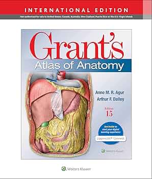 健康・医学 Grant's ATLAS OF ANATOMY 7186tSqwBXL._UF350,350_QL50_.jpg