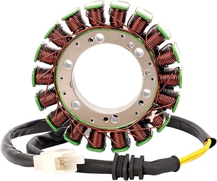 AHL Magneto Stator Coil Compatible with Honda VT600 VT600 750CA Shadow VLX