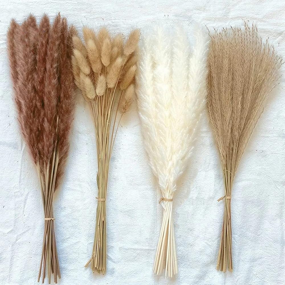 100 Fleurs Séchées en Forme De Queue De Lapin, Tiges d'herbe De La Pampa Naturelles, Style Bohème, pour Mariage, Maison, Remplissage De Vases, 30-45 Cm