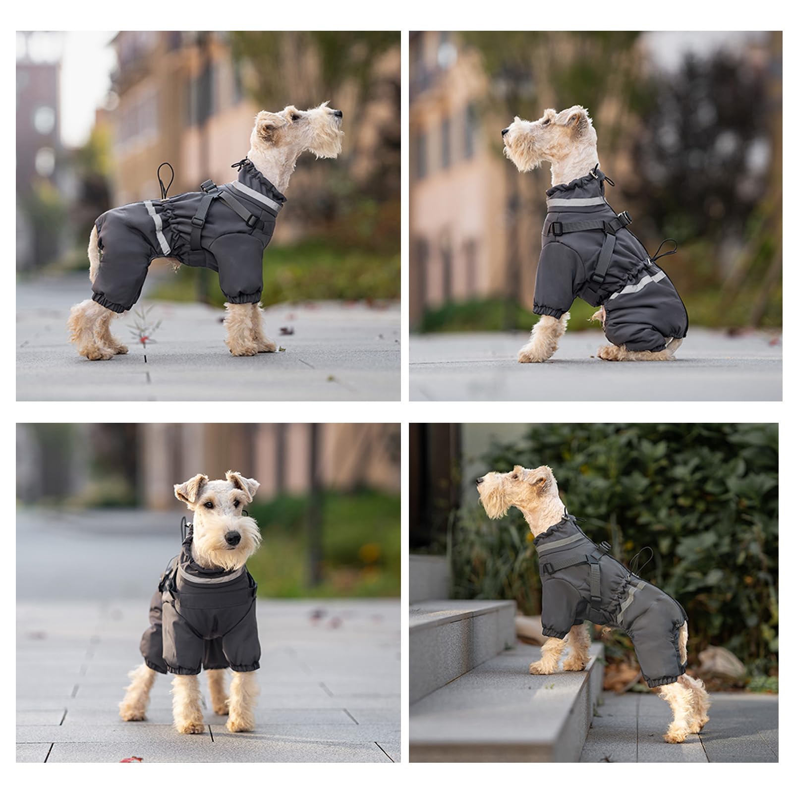 Cappotto invernale per cani, per esterni, regolabile, a 4 gambe, con imbracatura, riflettente, impermeabile, per cani di piccola taglia e cani di taglia media, grigio, M