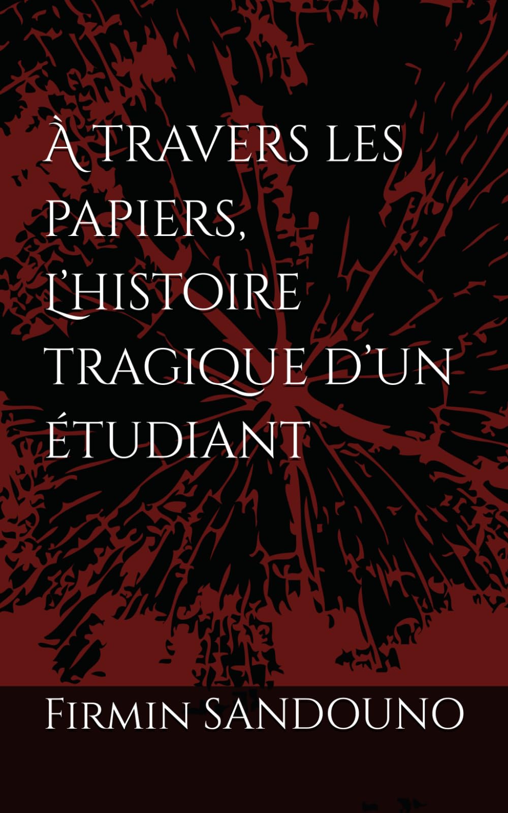 À travers les papiers, L’histoire tragique d’un étudiant