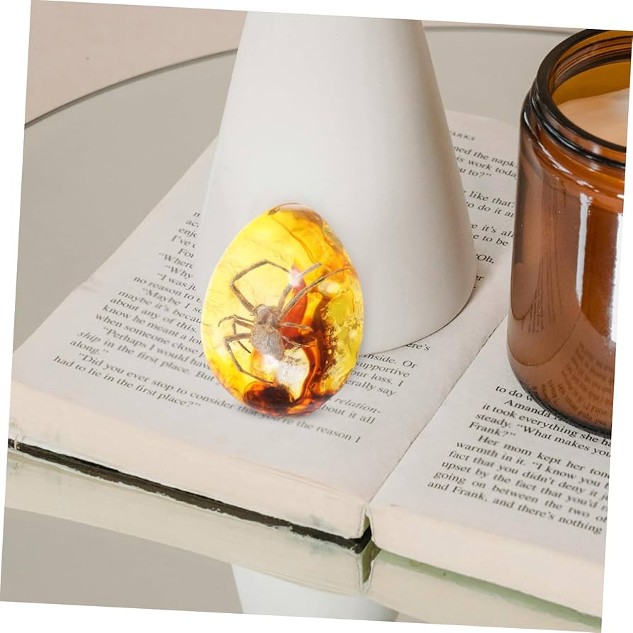 くも Amazon.co.jp: MUSISALY 琥珀 蜘蛛 標本 デコレーション