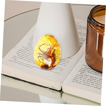 Amazon.co.jp: MUSISALY 琥珀 蜘蛛 標本 デコレーション