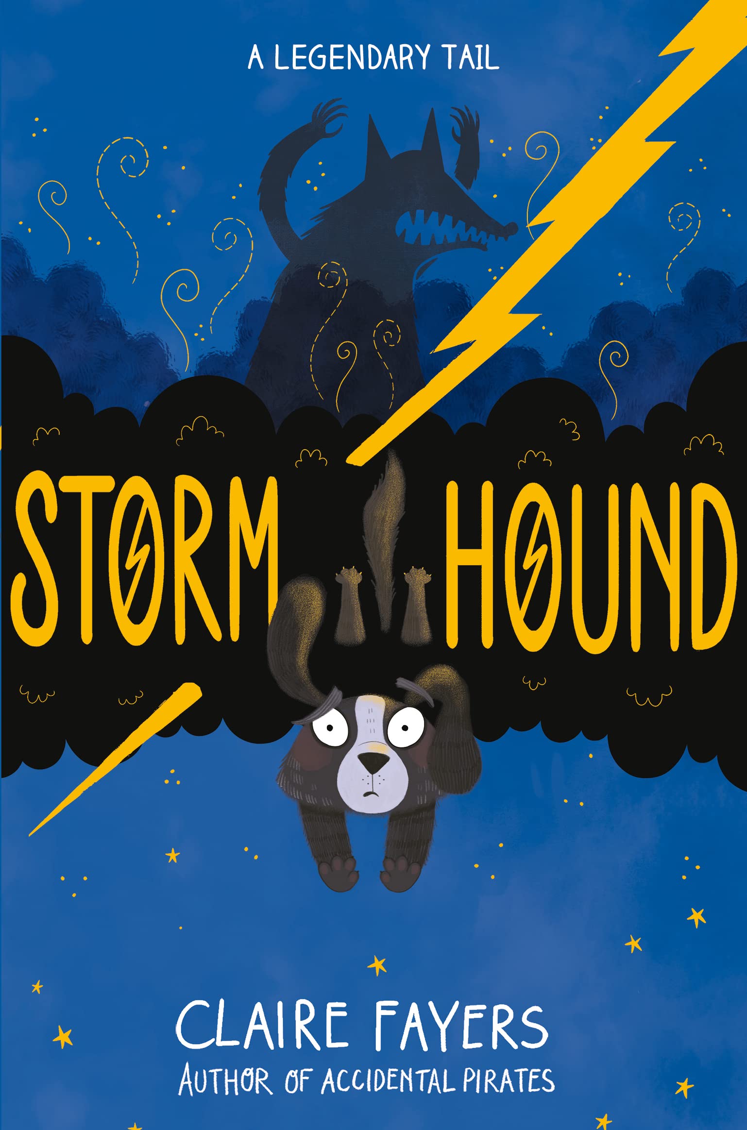 Storm Hound by Claire Fayers PAPERBACK 9781509895045