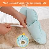 Ver la foto 4