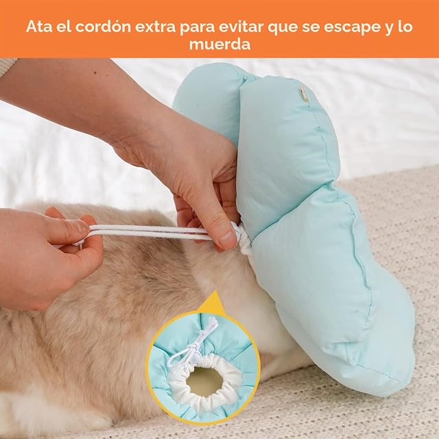 Foto 4 de 7 de Avont Collar de Recuperación para Gato