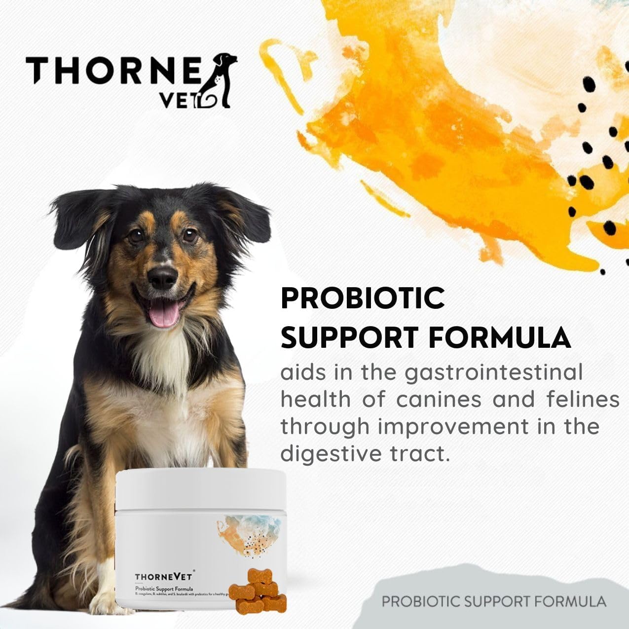 ThorneVET Probiotic Support Formula – Gastrointestinal Support for Dogs, Cats & Horses 60 Soft Chews