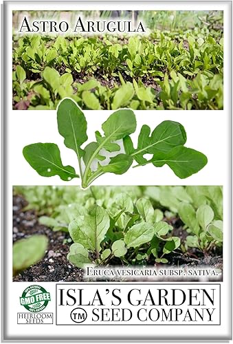 Astro Rúcula Semillas de lechuga para plantar, más de 1000 semillas de reliquia por paquete, semillas de jardín de Isla (semillas de jardín de disponible en Yaxa Costa Rica