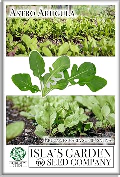 Astro Arugula Lettuce Seeds for Planting,1000+ Heirloom Seeds Per Packet, Islas Garden Seeds, Non GMO Seeds, Botanical Name Eruca vesicaria SSP. Sativa, Great Home Garden Gift