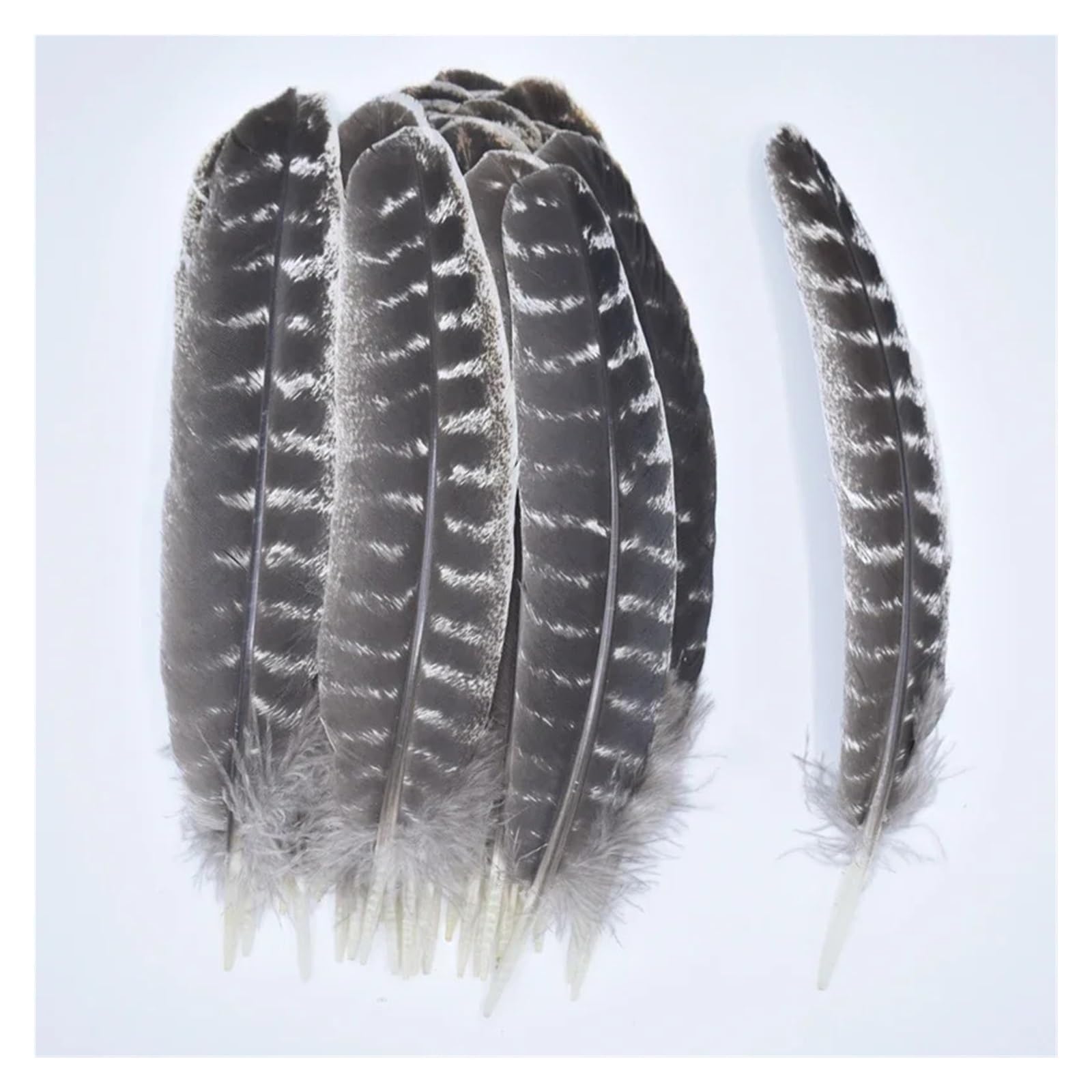 Chapeau artisanal en plumes d'aigle et d'oiseau, accessoires de décoration DIY(30-35CM 12-14Inch,10 Pcs)