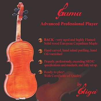 Amazon.com: 4/4 Full Size Advanced 'GAMA' Model, a Gliga Violin