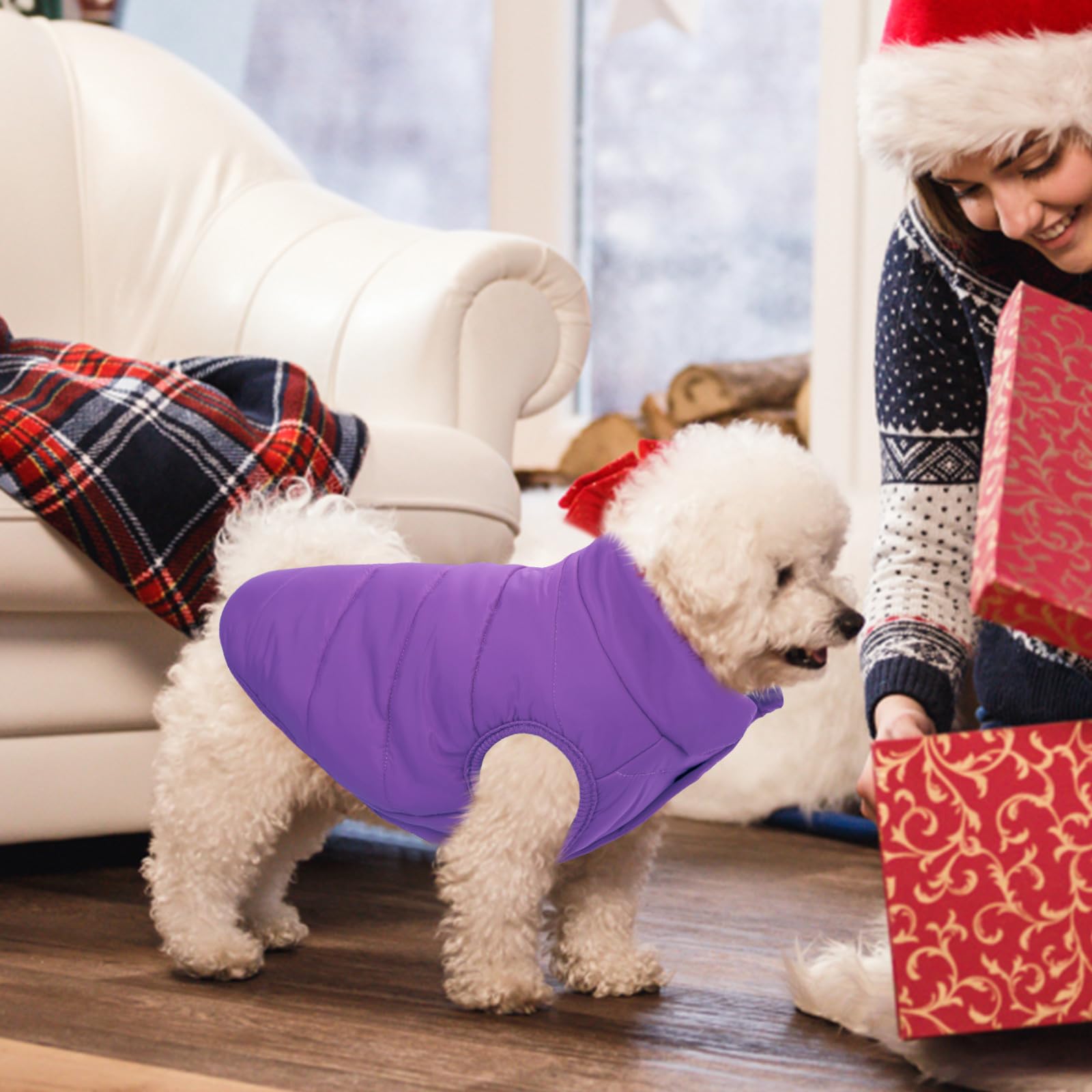 ASENKU Abrigo de invierno para perro, impermeable, resistente al viento, chaleco cálido a prueba de nieve para clima frío, abrigos de nieve ligeros para perros pequeños, medianos y grandes (morado, L)