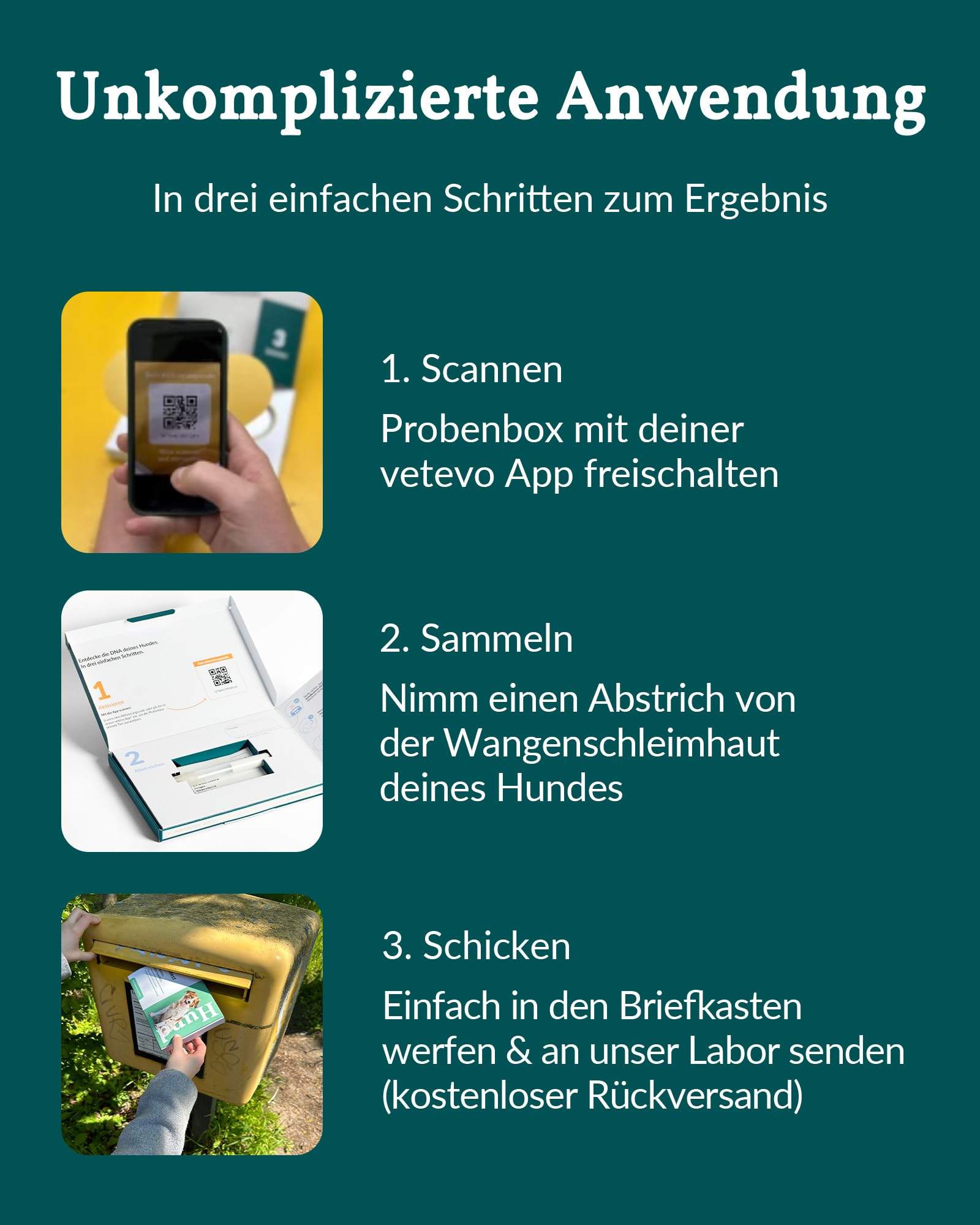 vetevo DNA Test Hund - Rassenbestimmung & MDR1 Gendefekt - 400+ Rassen | Speichelprobe bequem von zu Hause, Auswertung in der vetevo App, sorgfältige & verlässliche Laboranalyse