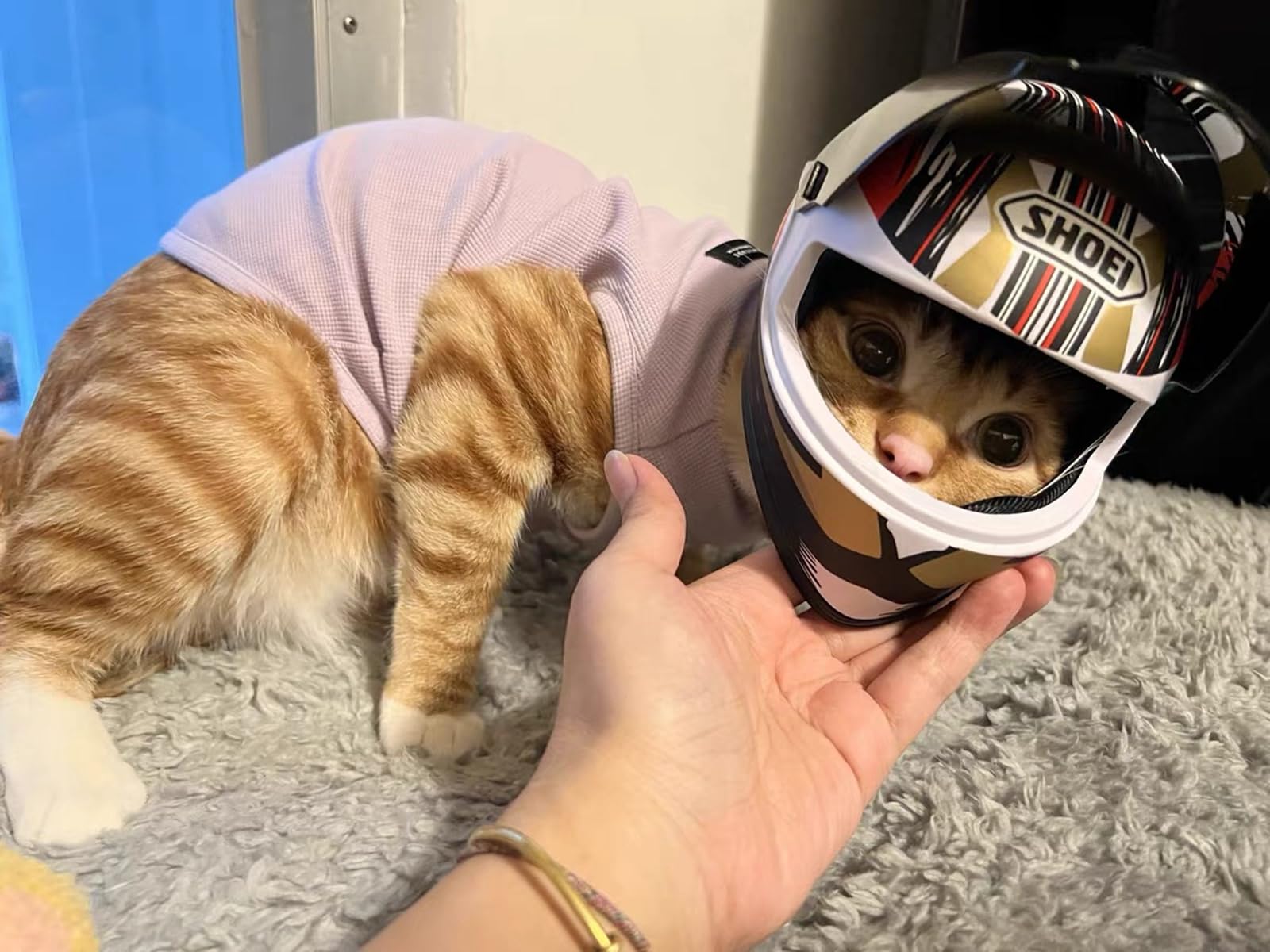 best looking motorcycle helmet 2020 Best motorcycle helmet