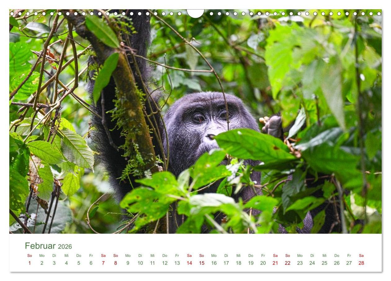 Tierwelten UGANDA (Wandkalender 2026 DIN A3 quer), CALVENDO Monatskalender: Tierwelten Uganda – Afrikas faszinierende Tierwelt in Bildern
