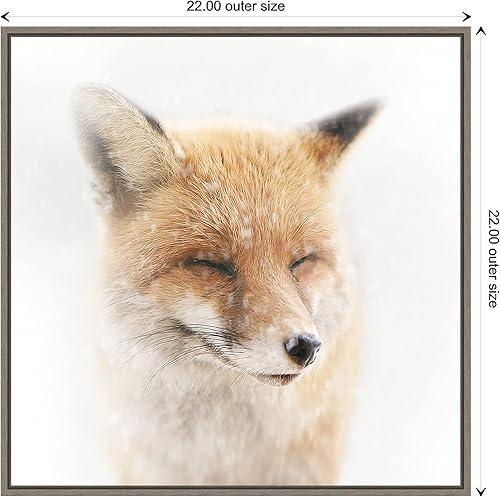 Miniatura 4 de Amanti Art Lienzo enmarcado para pared, diseño de zorro satisfecho, de Doris Reindl (22 pulgadas de ancho x 22 pulgadas de alto), marco gris lavado