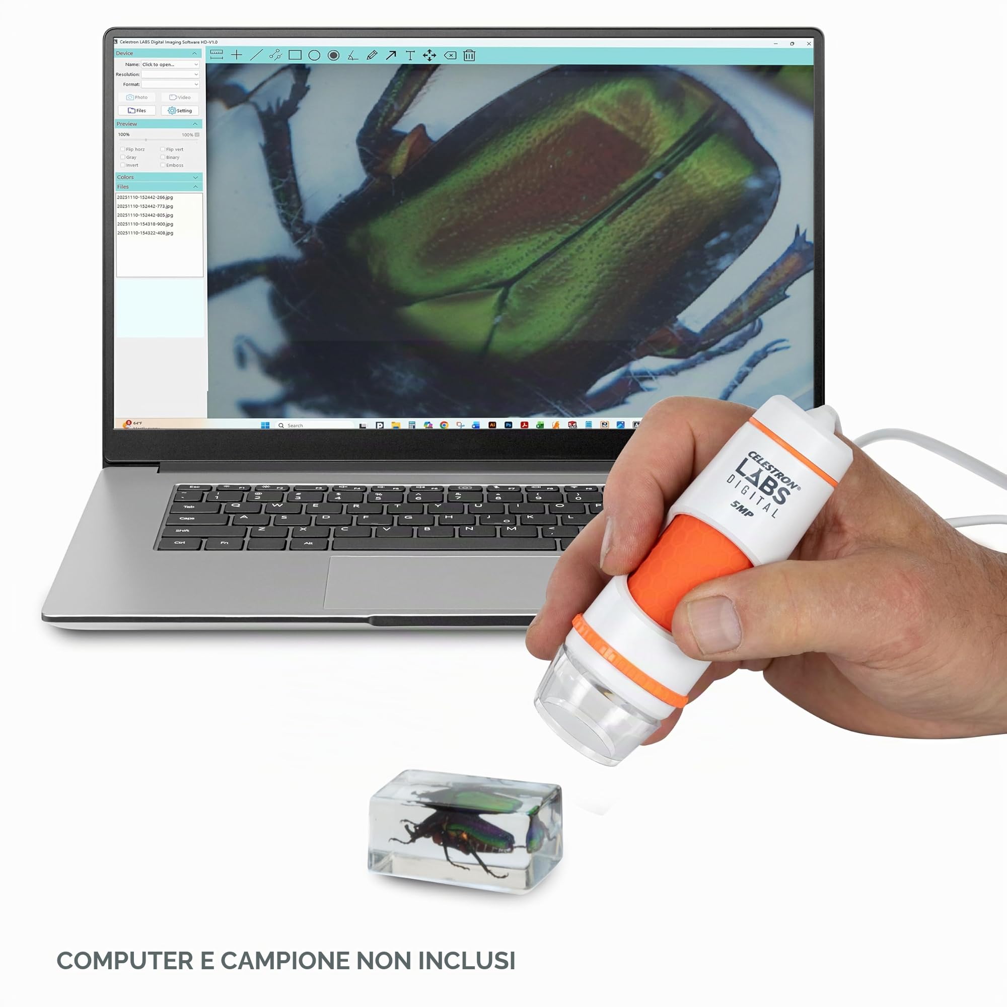 Celestron 44308 Microscopio digitale manuale Pro, Ingrandimento 20x-200x, Grigio/Bianco