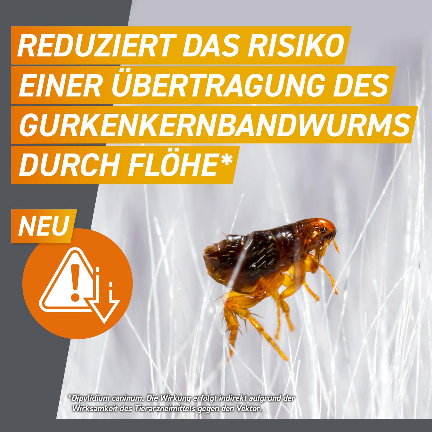 FRONTPRO Hund XL - Kautablette gegen Zecken & Flöhe (Hunde 25 bis 50 kg) | 3x Kautabletten (2er Pack) für 6 Monate Schutz - schmeckt einfach mit oder ohne Futter - für große Hunde
