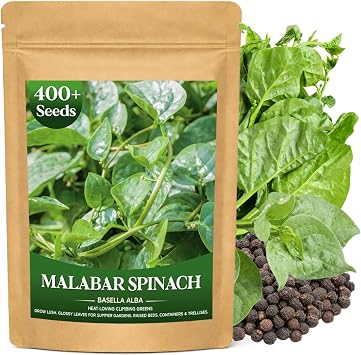 400+ Green Malabar Spinach Seeds for Planting - Basella Alba Vegetable Seeds, Climbing Vine Summer Greens for Full Sun Trellis/Fence Vertical Garden, QR Growing Guide