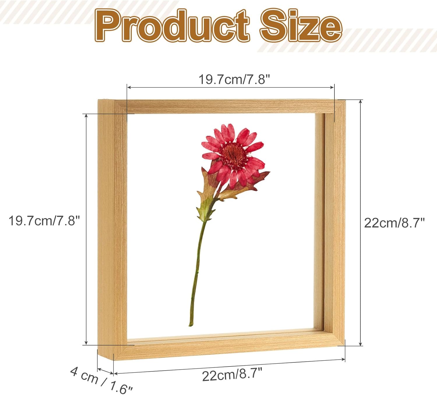 uxcell Wooden Pressed Flower Frame Handmade, 8x8 Inch Square Floating Picture Frame Double Glass Frame for Pressed Flowers Artwork Photo Frame Tabletop Display, Natural Wood