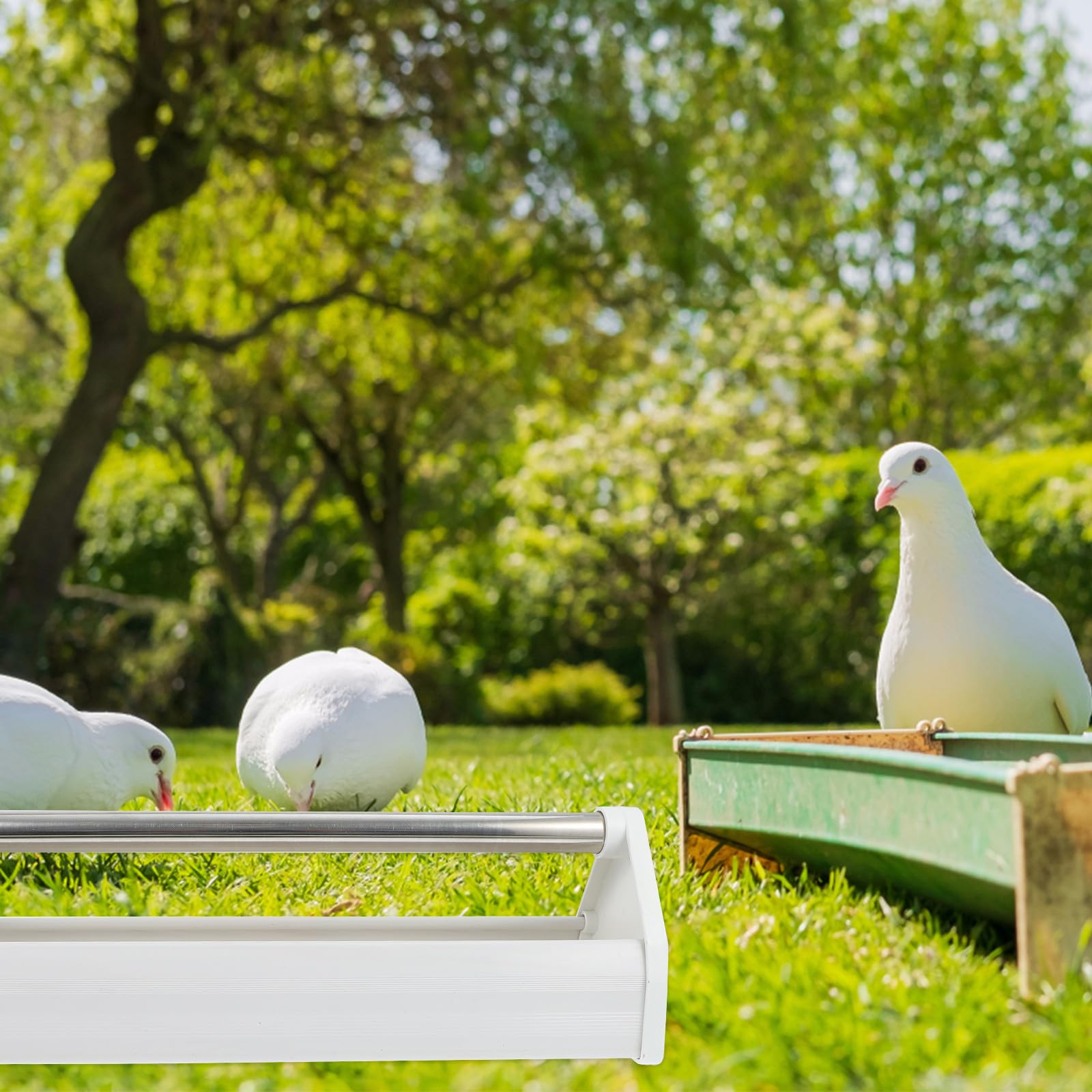 Mangeoire Anti-déversement Robuste et Facile à Nettoyer pour en Acier Inoxydable Blanc, Mangeoire Pratique pour Oiseaux D'intérieur et Parcs