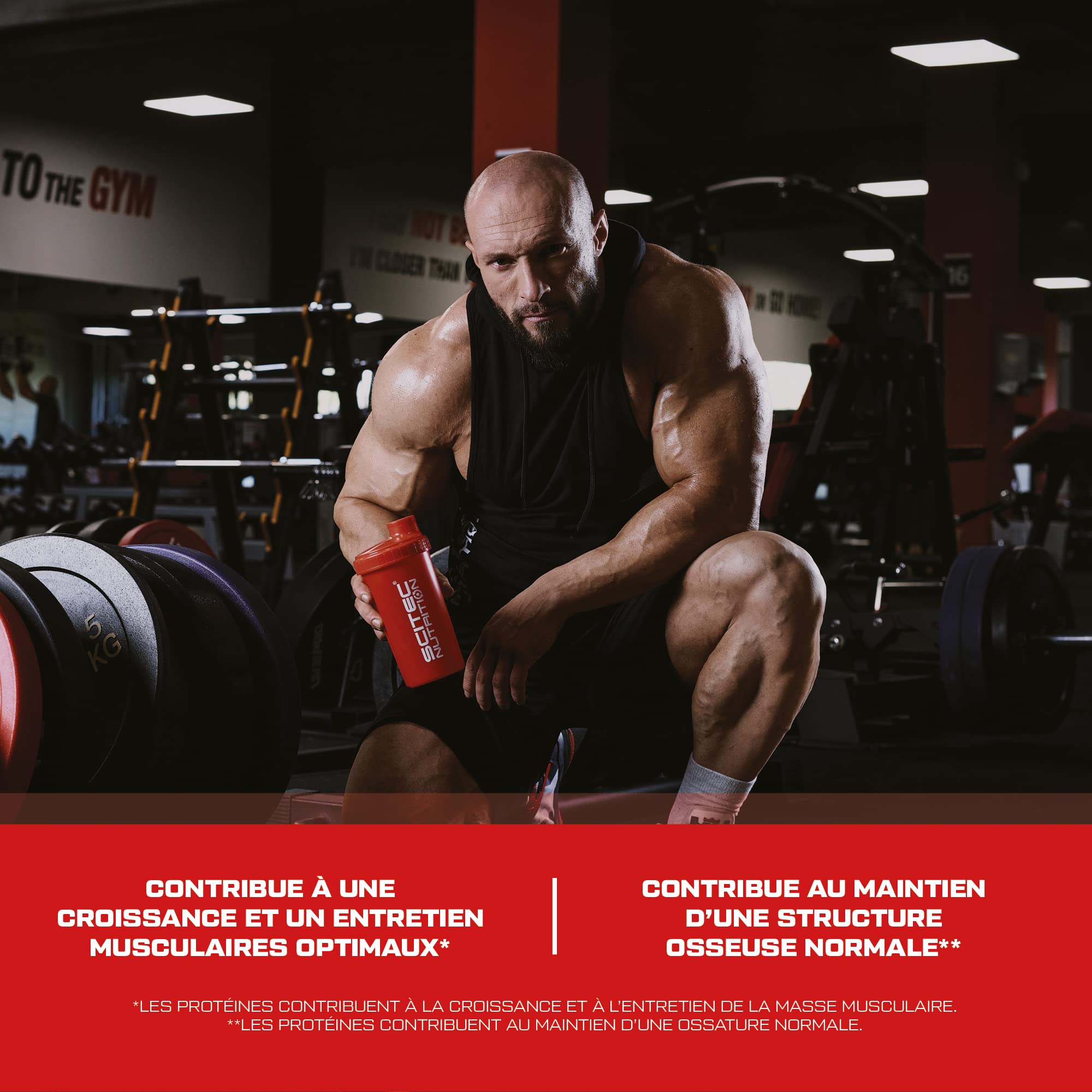 Scitec Nutrition PROTEINE 100% Whey Protein Professional, fraise, 2350 g | Concentré et isolat de lactosérum - avec enzymes digestives - protéines pour les muscles - 2,35 kg, Fraise