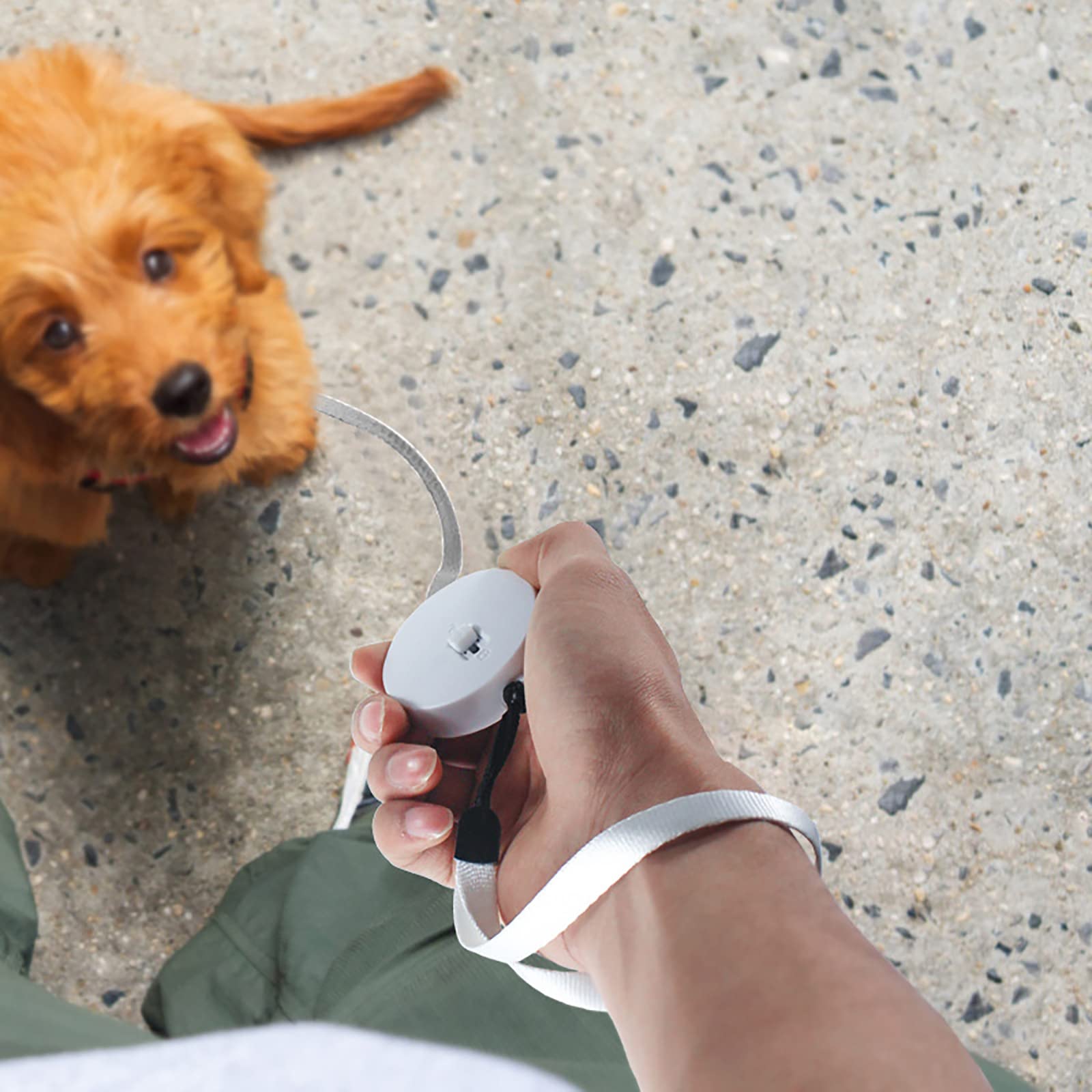 Guinzaglio per Cani Allungabile Lunghezza 3 Metri Guinzaglio Retrattile 2 Metri per Addestramento e Passeggiata Guinzaglio per Cani Estensibile