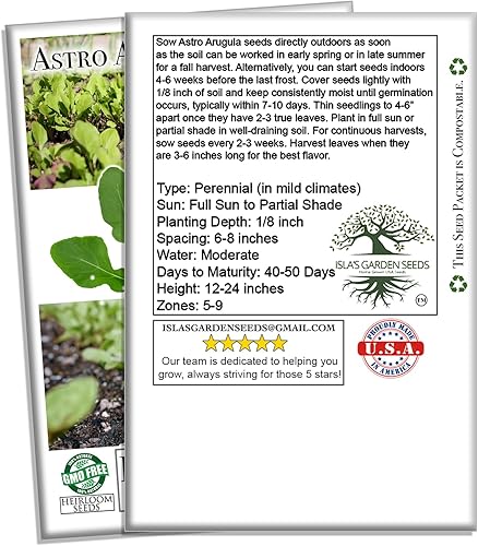 Miniatura 4 de Astro Rúcula Semillas de lechuga para plantar, más de 1000 semillas de reliquia por paquete, semillas de jardín de Isla (semillas de jardín de