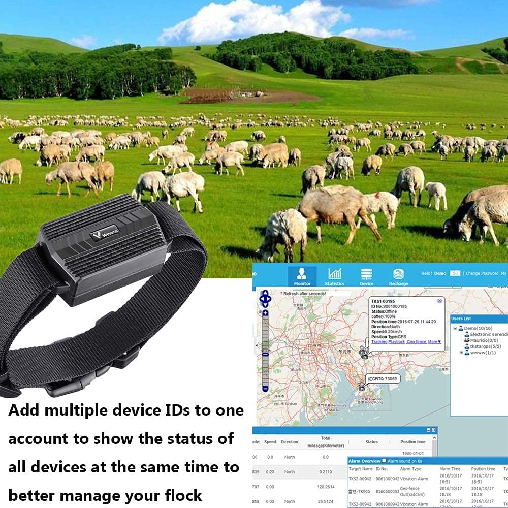 Collier GPS TK935 pour Chien - Traceur sans Limitation de Distance Sans Abonnement - Batterie Rechargeable 3000mAh - Suivi en Temps Réel pour Chiens, Vaches, Moutons