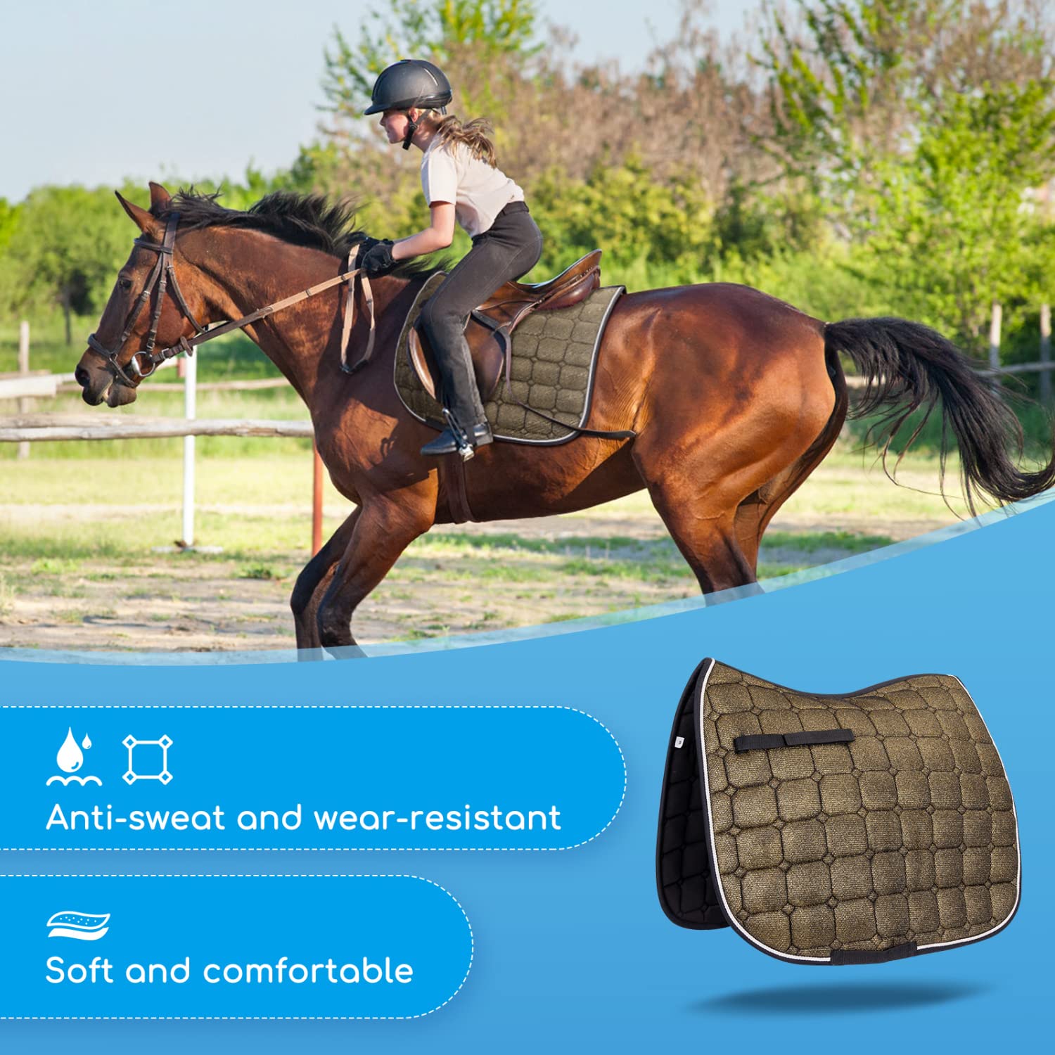 Nobleza - Mantilla para Caballo, Ideal para Salto, Sudaderos de Algodón, Correas de Posicionamiento con Cierre (Negro)