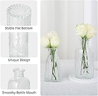 Vista 6 de RUCKAE Juego de 12 jarrones pequeños transparentes para brotes a granel, jarrones de vidrio para mini flores para centros de mesa, decoraciones